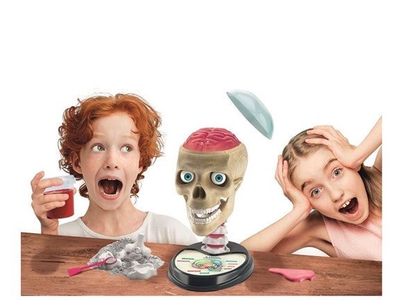 Crazy anatomy