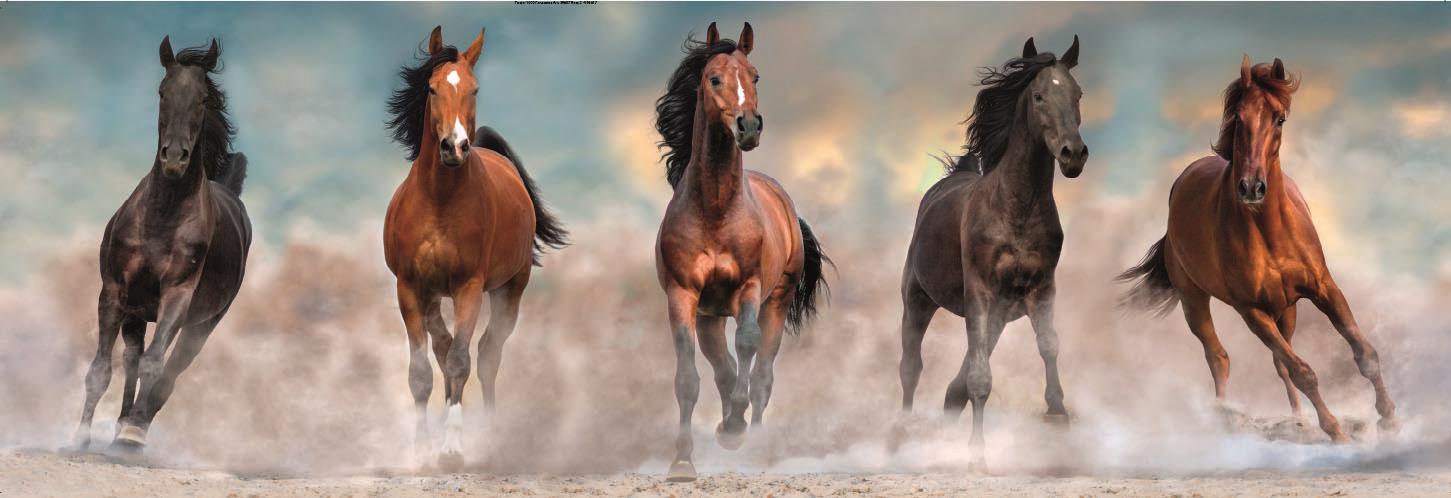 Puslespill 1000 Pan Horses Clementoni