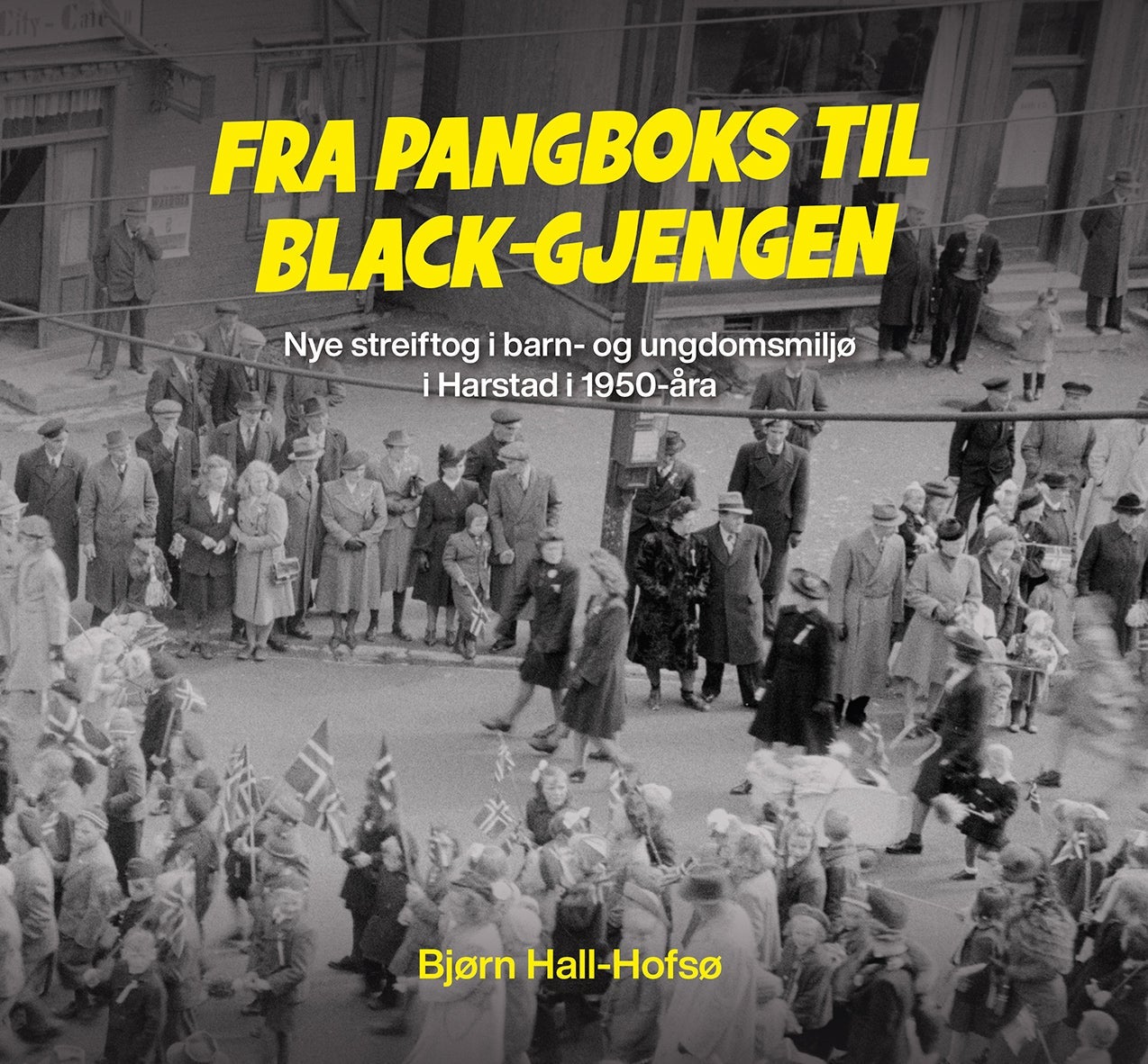 Fra pangboks til Black-gjengen - Nye streiftog i barn- og ungdomsmiljø i Harstad i