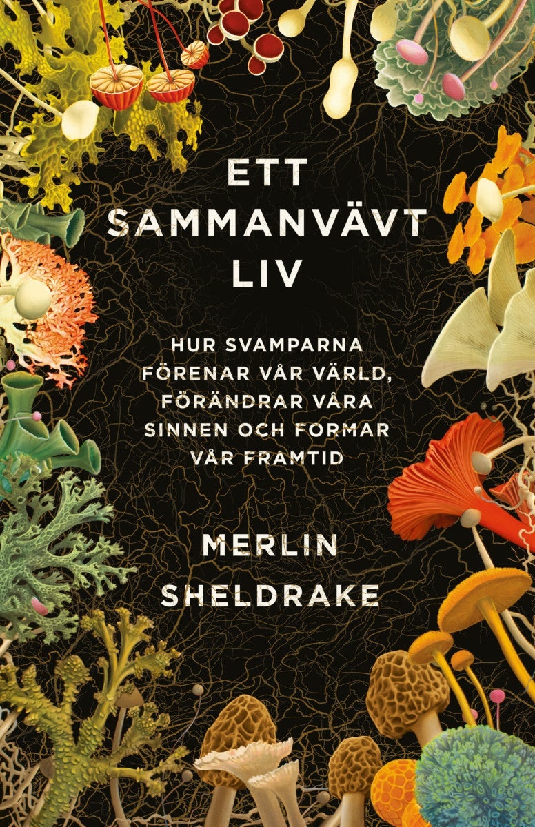 Ett sammanvävt liv: Hur svamparna förenar vår värl