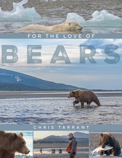 For The Love Of Bears