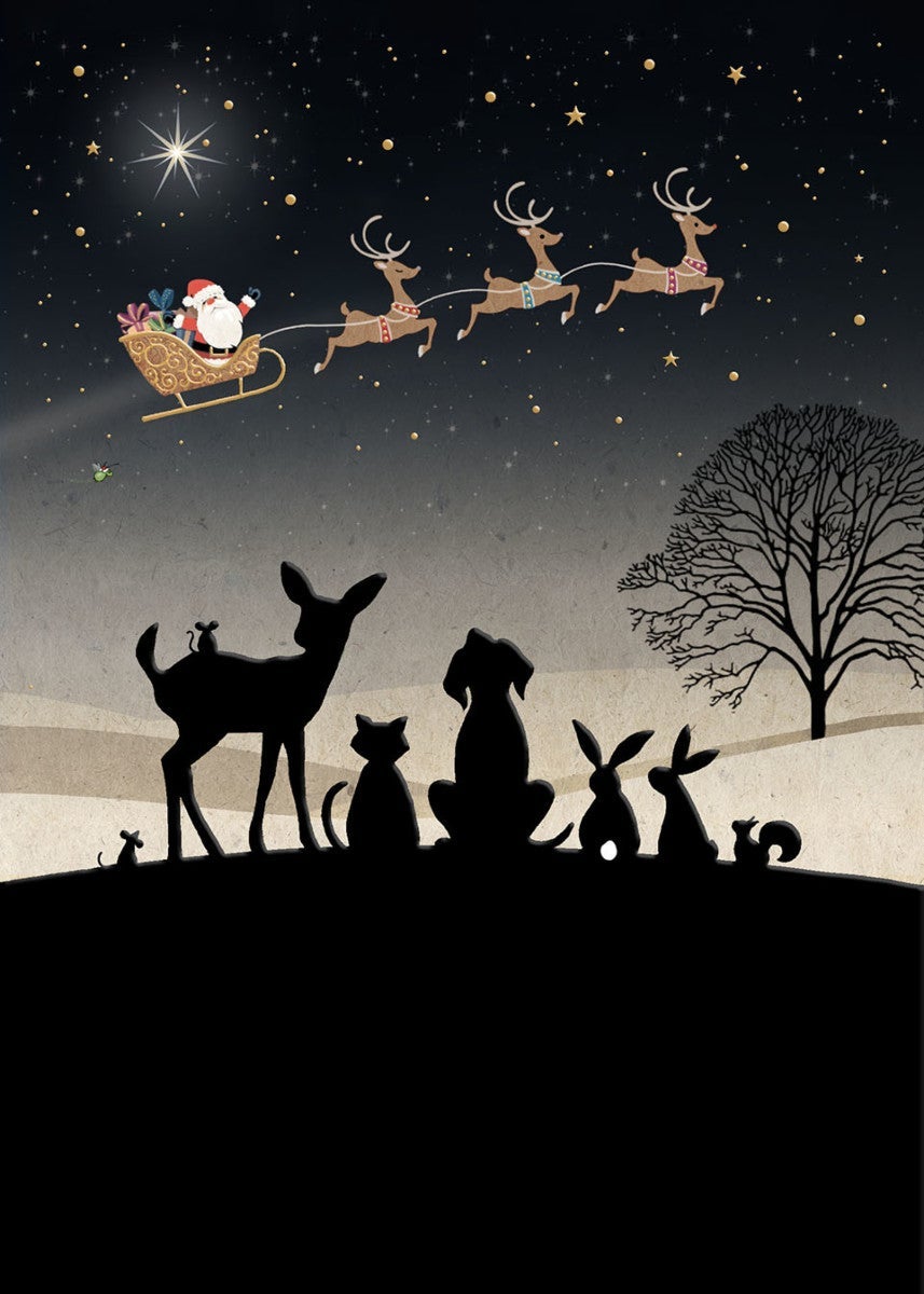 Julekort Bug Art Jewels Santa Gazing - 12x17 cm