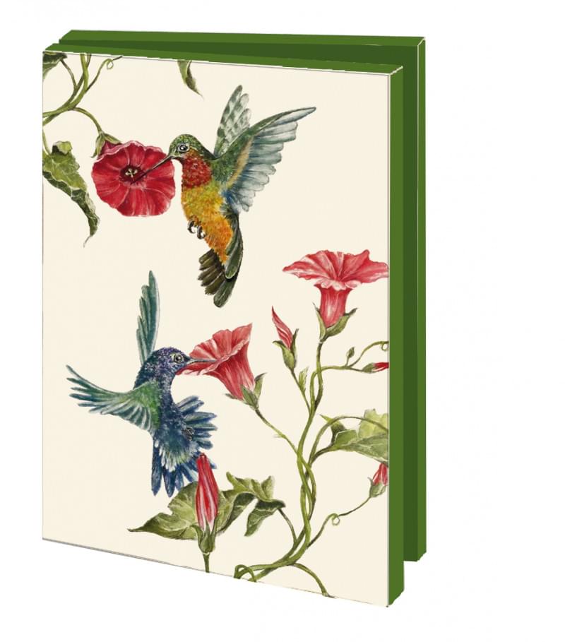 Kortmappe Kolibri