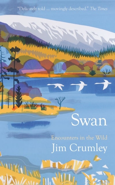 Swan
