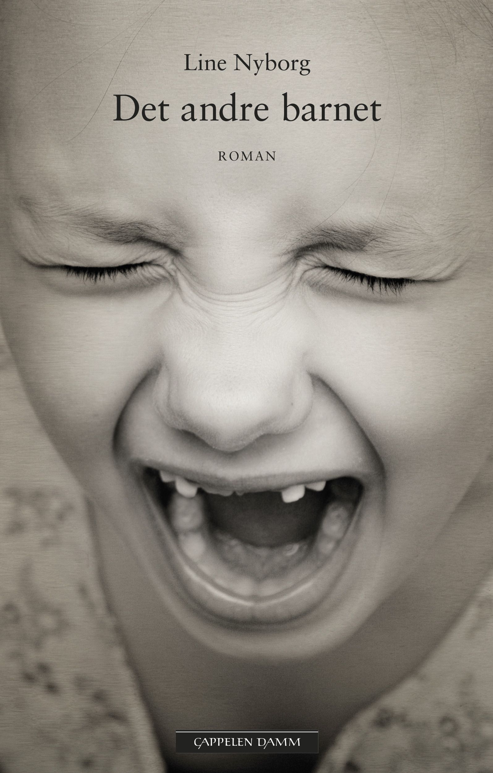 Det andre barnet - roman
