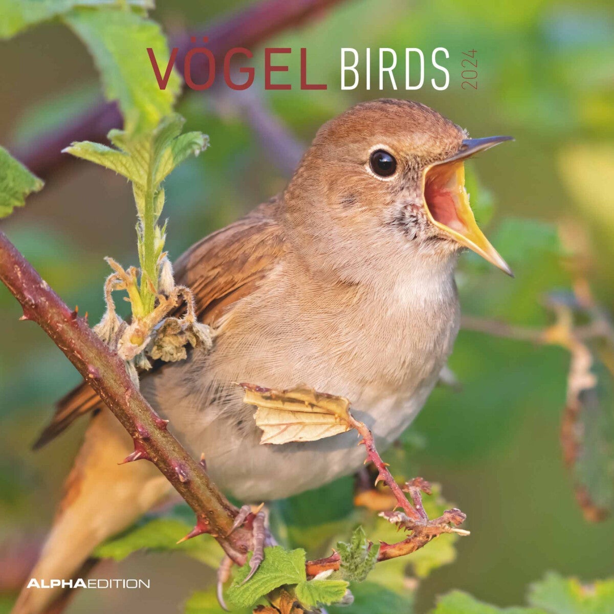 Kalender 2024 Birds 30x30cm