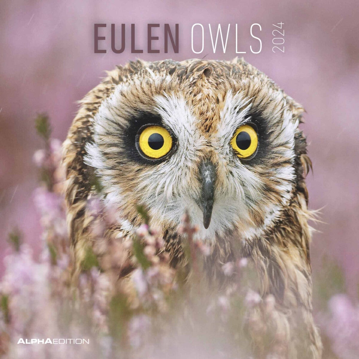 Kalender 2024 Owls 30x30cm