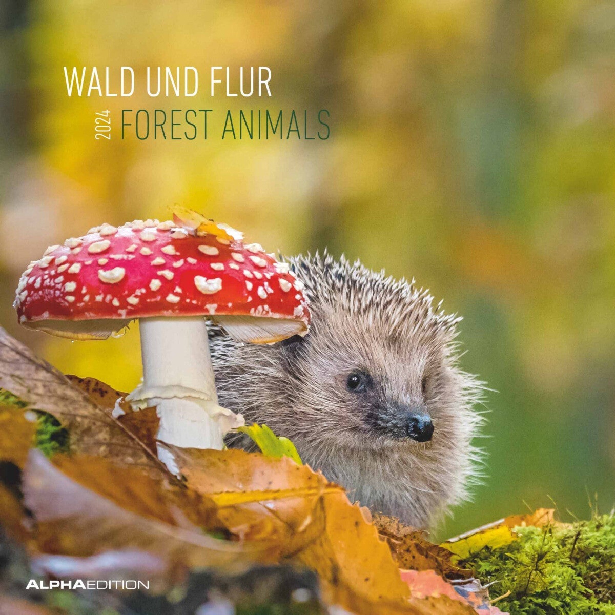 Kalender 2024 Forest Animals 30x30cm