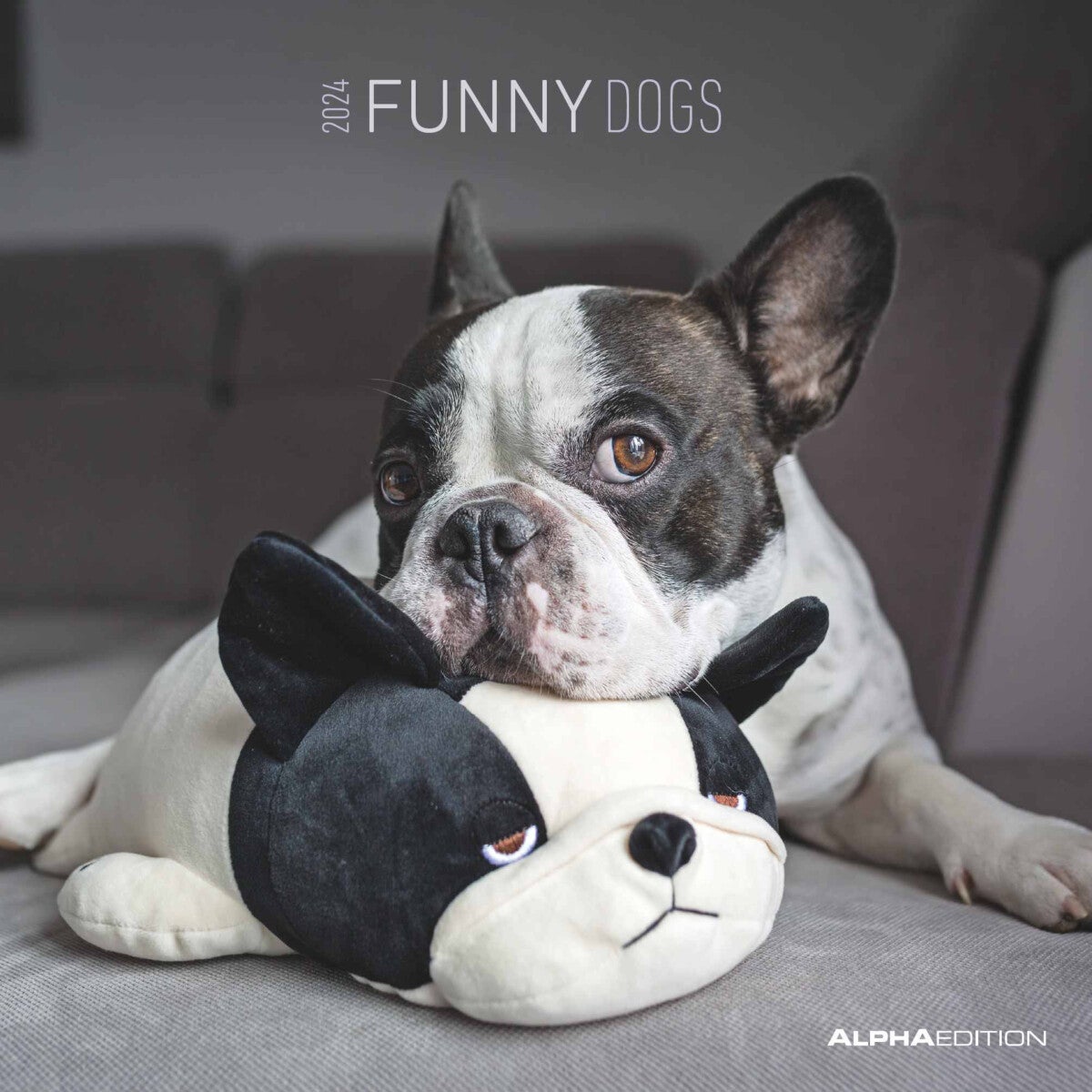 Kalender 2024 Funny Dogs 30x30cm