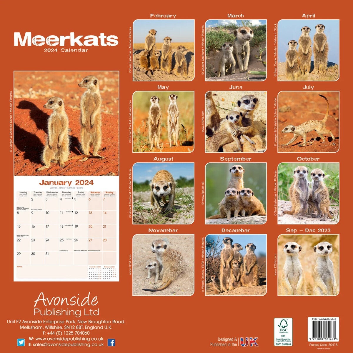 Kalender 2024 Meerkats 30x30cm