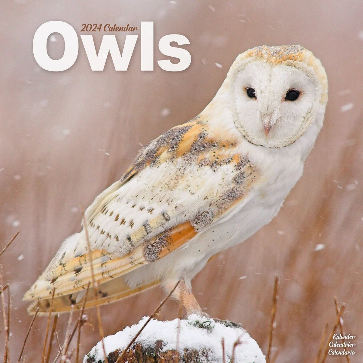 Kalender 2024 Owls 30x30cm