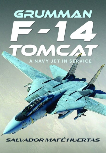 Grumman F-14 Tomcat - A Navy Jet in Service