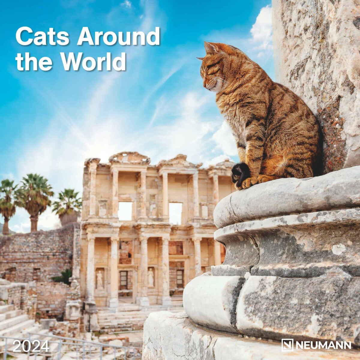 Kalender 2024 Cats a t World 30x30cm