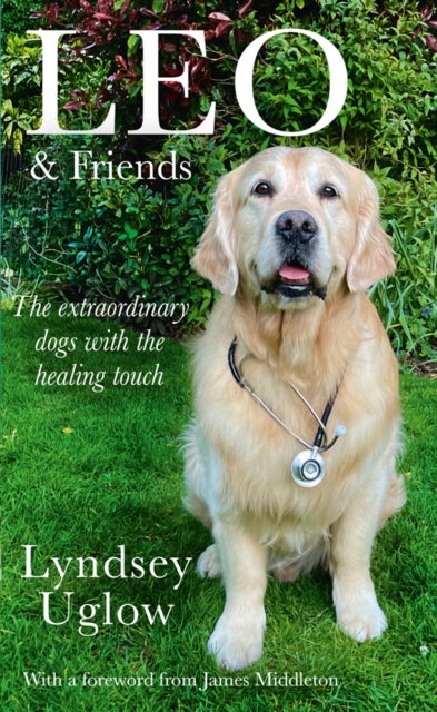 Leo & Friends - The Dogs with a Healing Touch