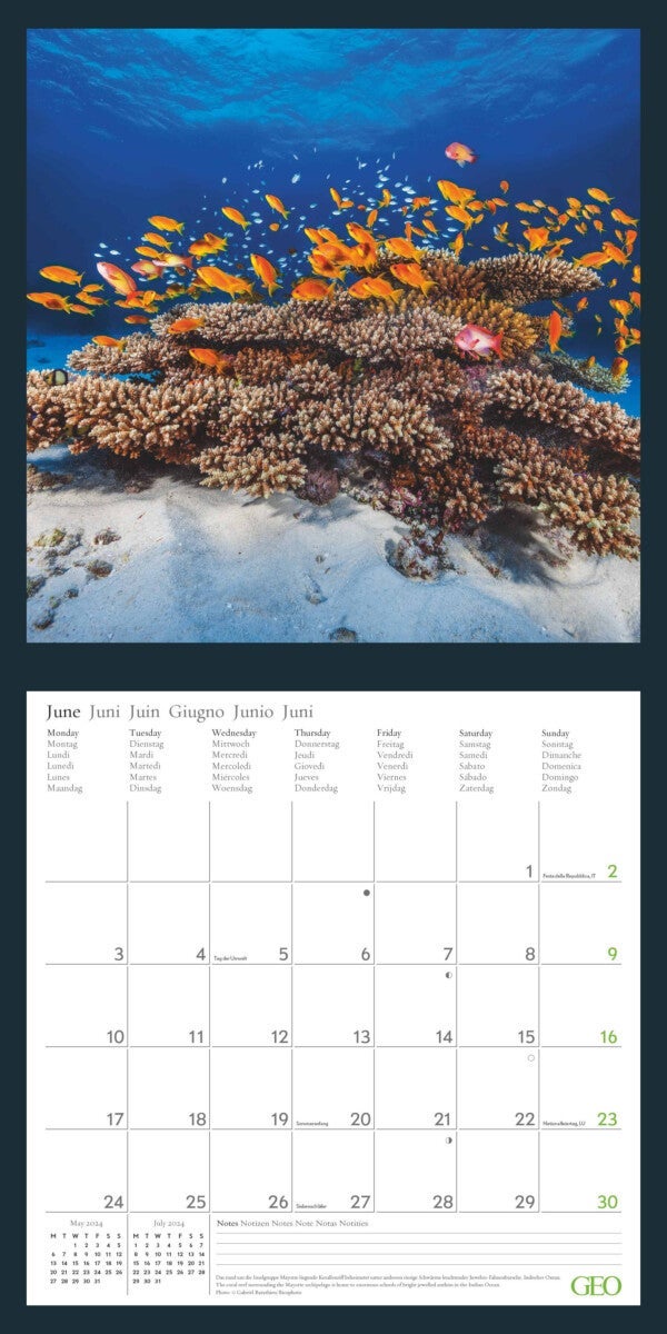 Kalender 2024 Amazing Nature 30x30cm