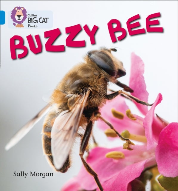 Buzzy Bees - Band 04/Blue