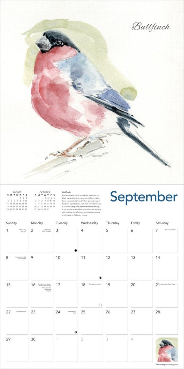 Kalender 2024 Garden Birds 30x30cm