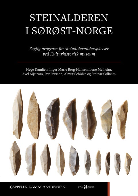 Steinalderen i Sørøst-Norge - faglig program for steinalderundersøkelser ved Kulturhistorisk museum