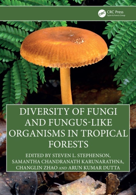 Diversity of Fungi and Fungus-Like Organisms in Tropical Forests