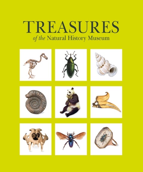 Treasures of the Natural History Museum - (Pocket edition)
