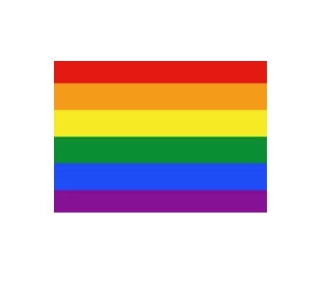 Prideflagg 28 X 19 cm