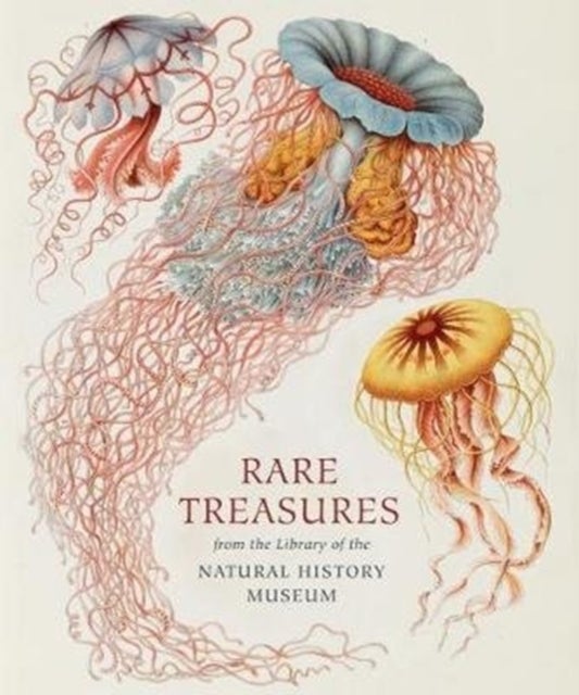 Rare Treasures - From the Library of the Natural History Museum