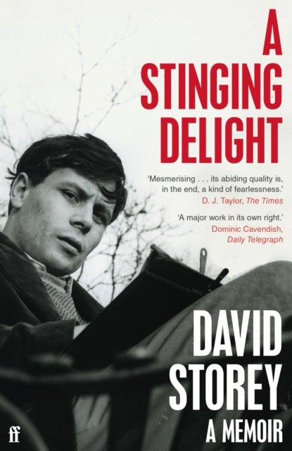 A Stinging Delight - A Memoir