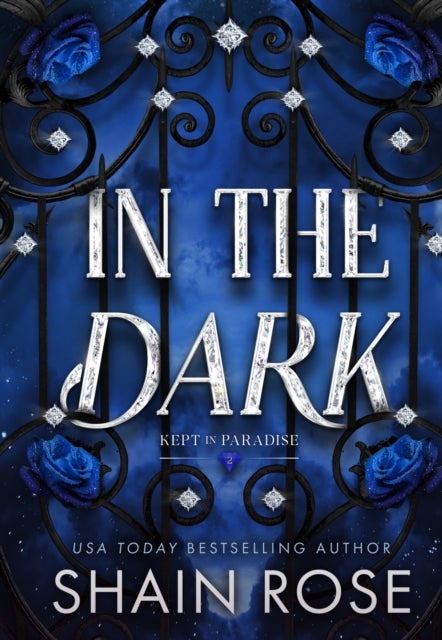 In the Dark - An absolutely unputdownable, dark and steamy billionaire romance