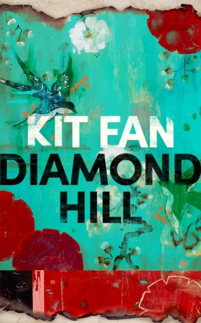 Diamond Hill - Totally unputdownable and evocative literary fiction