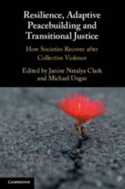 Resilience, Adaptive Peacebuilding and Transitional Justice - How Societies Recover after Collective Violence
