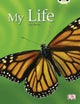 Bug Club Guided Non Fiction Year 1 Yellow C My Life