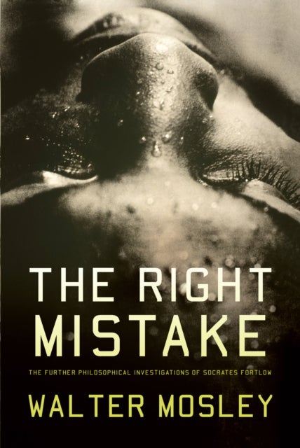 The Right Mistake - The Further Philosophical Investigations of Socrates Fortlow