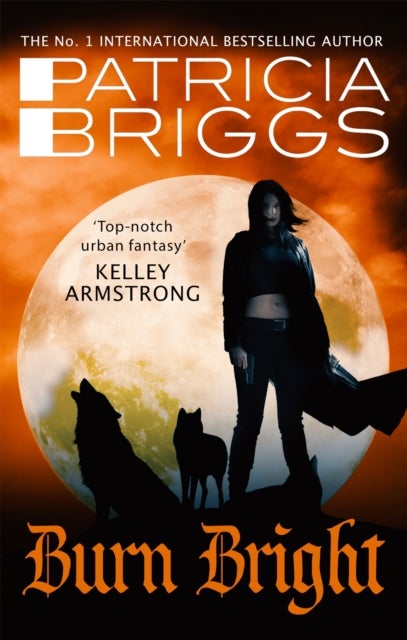 Burn Bright - An Alpha and Omega Novel: Book 5