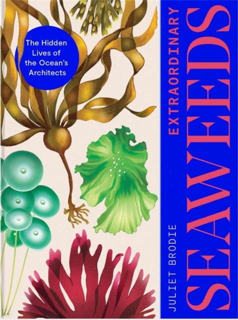 Extraordinary Seaweeds - The hidden lives of the ocean's architects