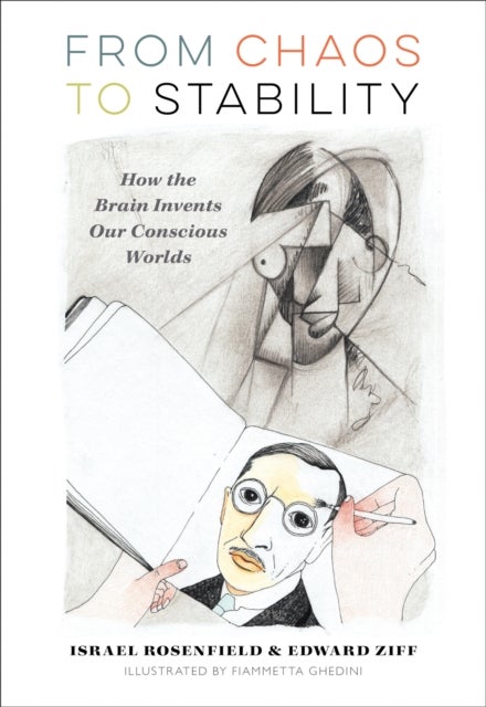 From Chaos to Stability - How the Brain Invents Our Conscious Worlds