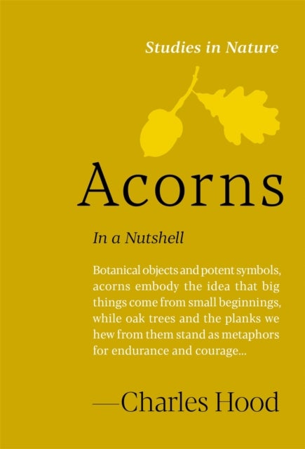 Acorns - In a Nutshell