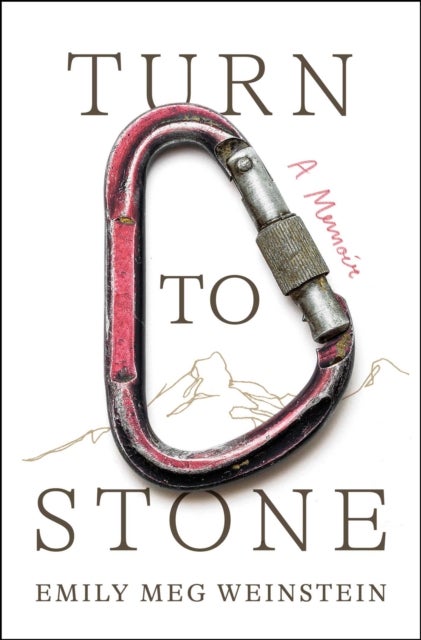 Turn to Stone - A Memoir