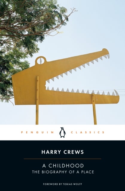 A Childhood - The Biography of a Place
