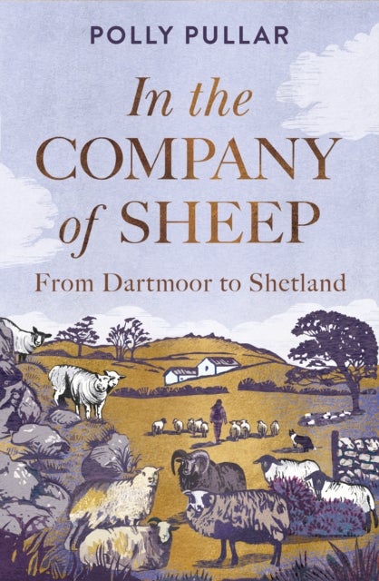 In the Company of Sheep - From Dartmoor to Shetland