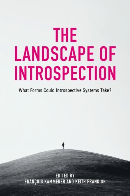The Landscape of Introspection