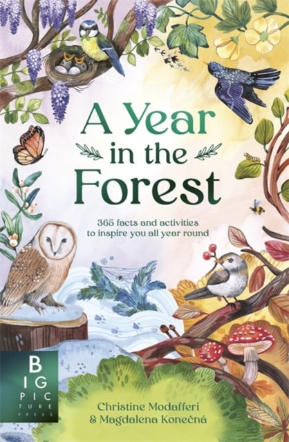 A Year in the Forest - 365 nature facts and activities to inspire you all year round