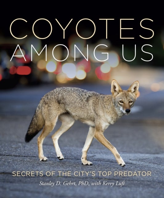 Coyotes Among Us - Secrets of theCity's Top Predator