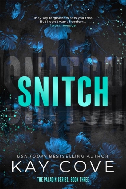 Snitch - A dark and dangerously addictive, spicy age-gap assassin romance (PALADIN Book 3)