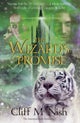 The Wizard's Promise