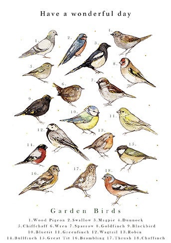 Kort Lamb Little Garden Bird Chart