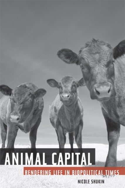 Animal Capital - Rendering Life in Biopolitical Times