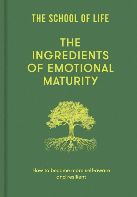 The Ingredients of Emotional Maturity - How to become more self-aware and resilient