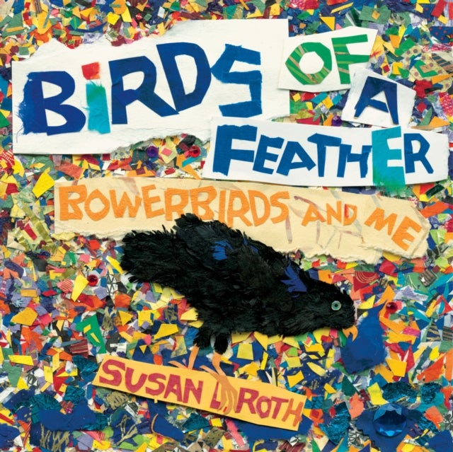 Birds of a Feather - Bowerbirds and Me