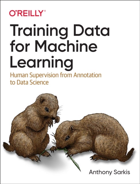 Training Data for Machine Learning - Human Supervision from Annotation to Data Science