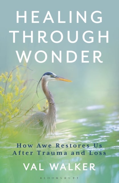 Healing Through Wonder - How Awe Restores Us After Trauma and Loss